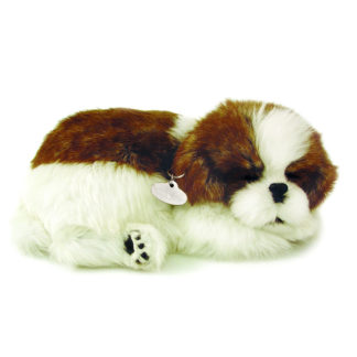 Shih Tzu Bundle