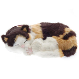 Calico Cat Bundle