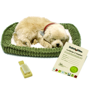 Bundle