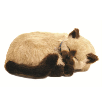 Tan Siamese Bundle