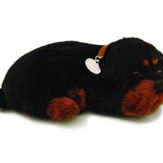 Rottweiler Bundle