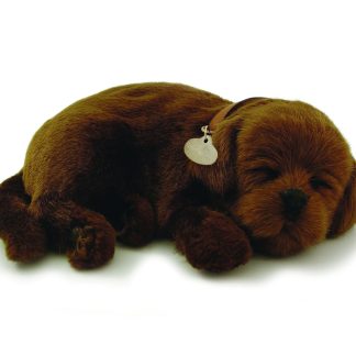 Chocolate Lab Bundle
