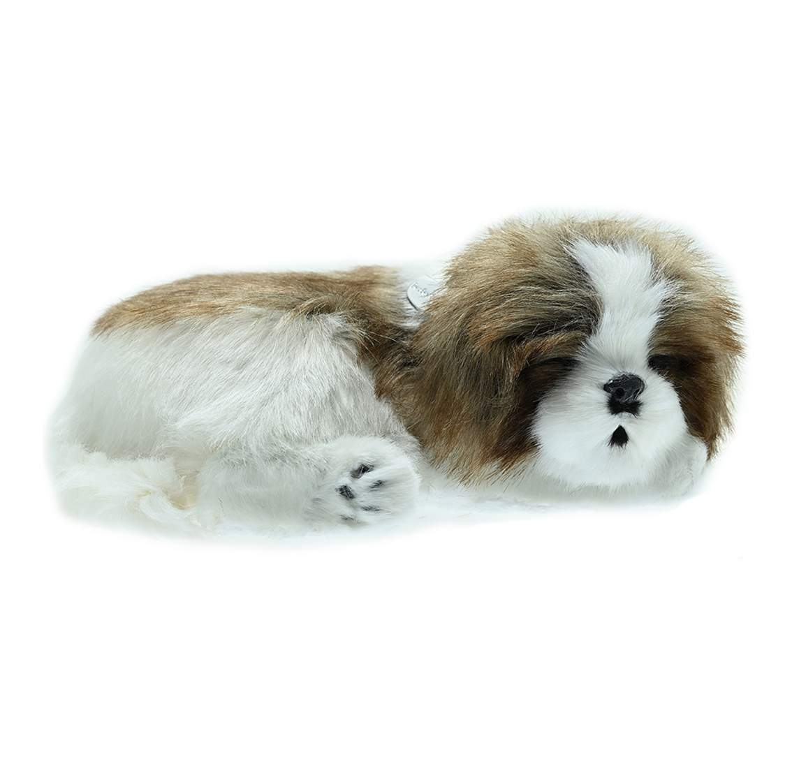 Shih Tzu Bundle