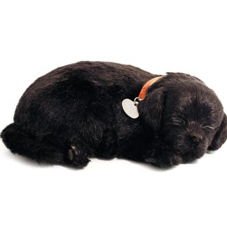 Black Lab Bundle