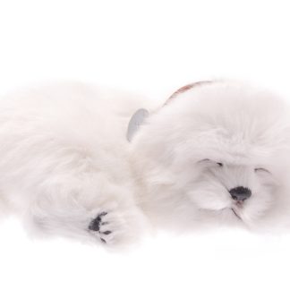 Maltese Bundle