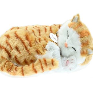 Orange Tabby Bundle