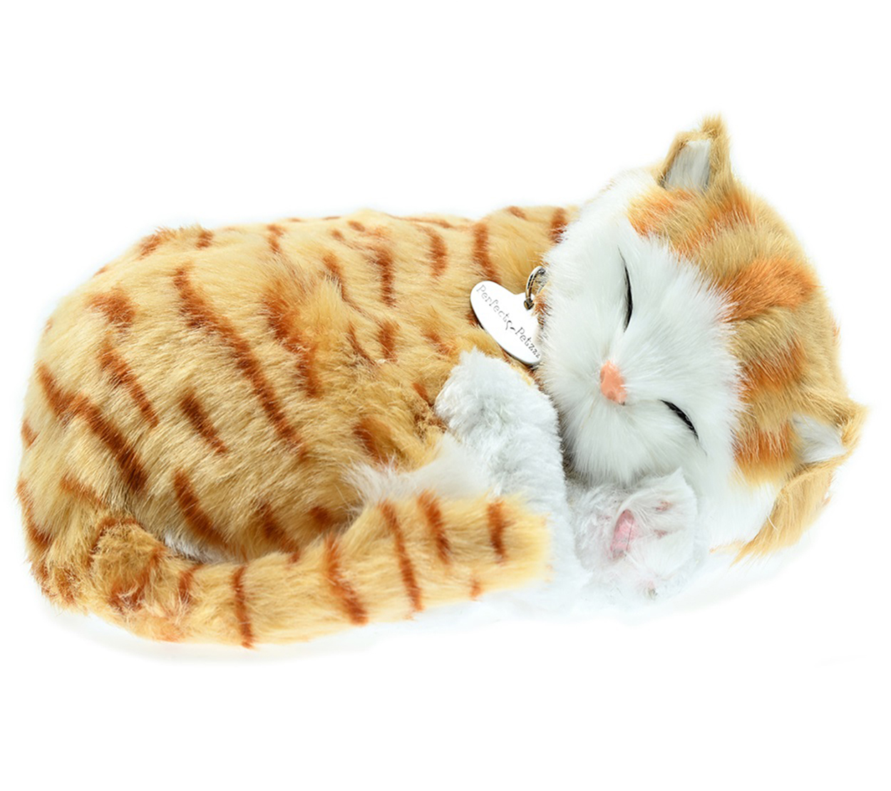 Orange Tabby Bundle