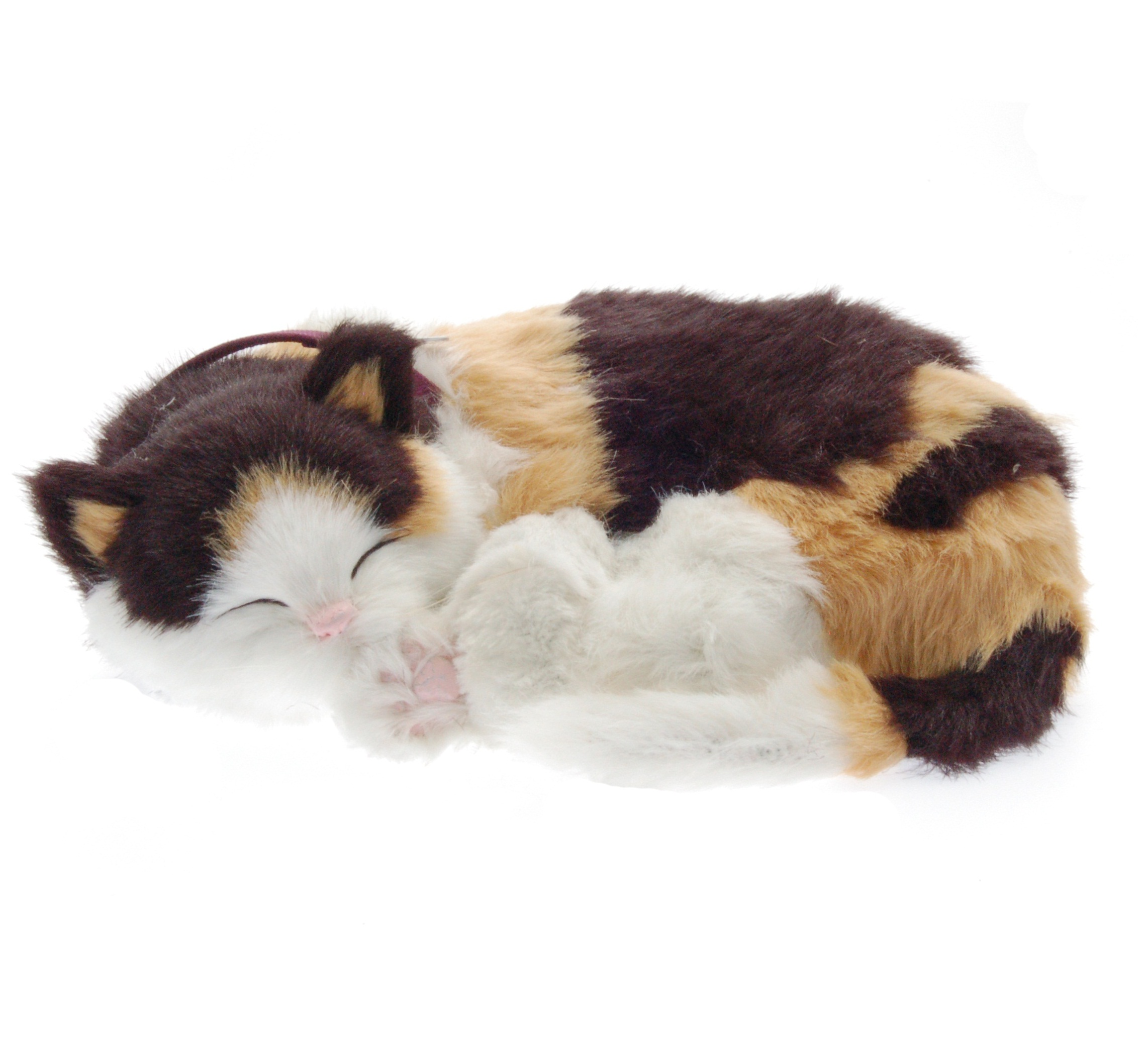Calico Cat Bundle