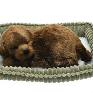 Chocolate Lab Wag Tail