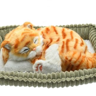 Orange Tabby Wag Tail